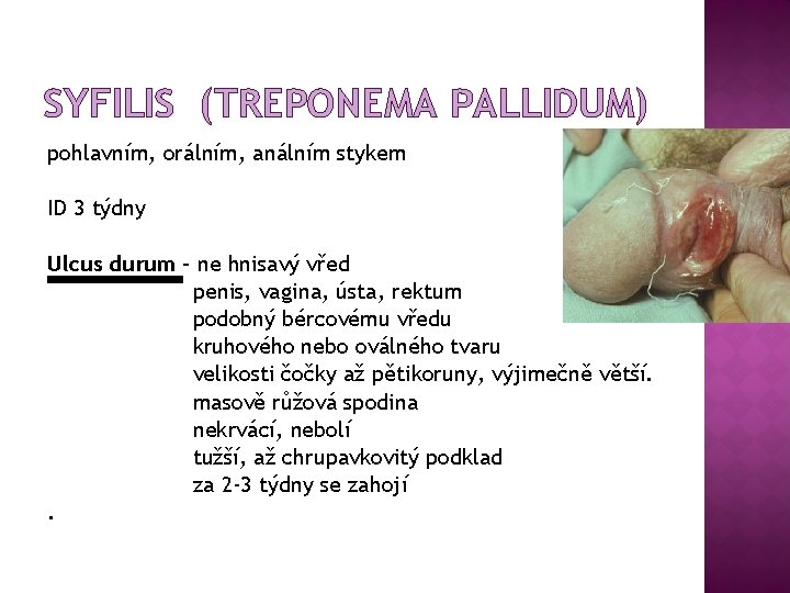 SYFILIS (TREPONEMA PALLIDUM) pohlavním, orálním, análním stykem ID 3 týdny Ulcus durum – ne