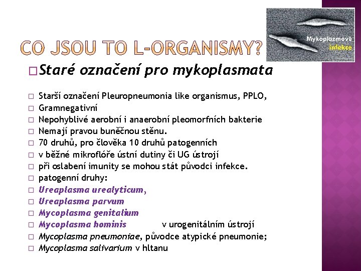 �Staré � � � � označení pro mykoplasmata Starší označení Pleuropneumonia like organismus, PPLO,