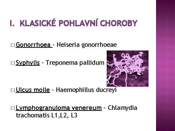 I. KLASICKÉ POHLAVNÍ CHOROBY � Gonorrhoea � Syphylis � Ulcus – Neiseria gonorrhoeae –