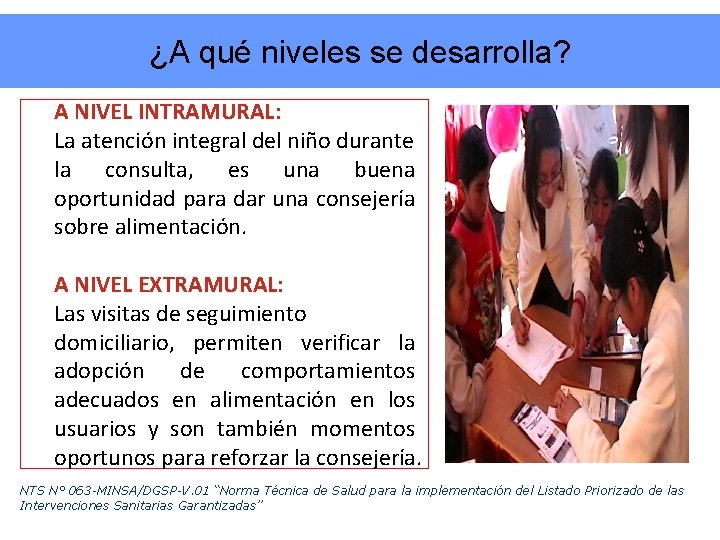 ¿A qué niveles se desarrolla? A NIVEL INTRAMURAL: La atención integral del niño durante