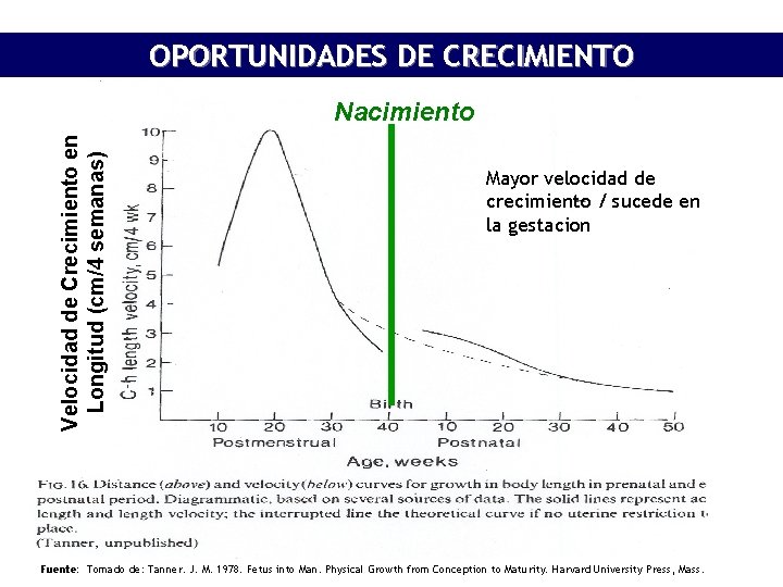 OPORTUNIDADES DE CRECIMIENTO Velocidad de Crecimiento en Longitud (cm/4 semanas) Nacimiento Mayor velocidad de