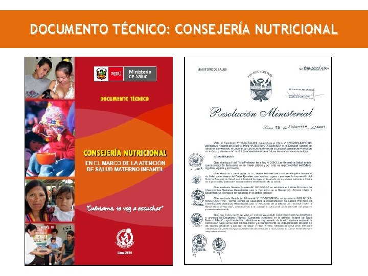 DOCUMENTO TÉCNICO: CONSEJERÍA NUTRICIONAL 