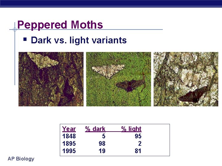 Peppered Moths § Dark vs. light variants Year 1848 1895 1995 AP Biology %