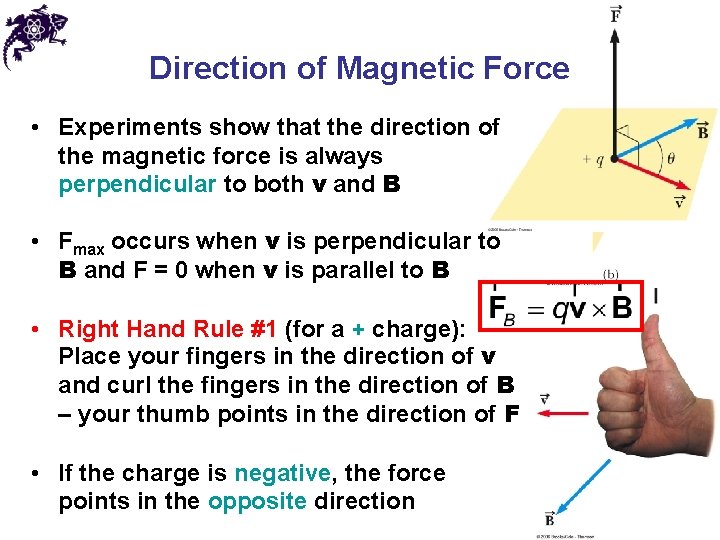 Direction of Magnetic Force • Experiments show that the direction of the magnetic force