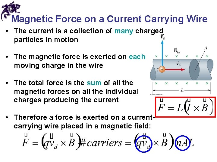 Magnetic Force on a Current Carrying Wire • The current is a collection of