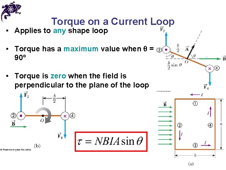 Torque on a Current Loop • Applies to any shape loop • Torque has