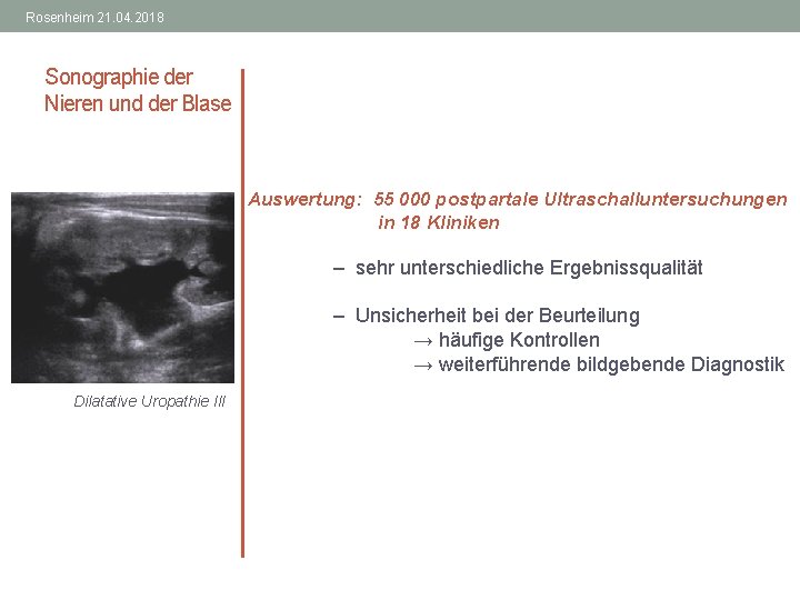 Rosenheim 21. 04. 2018 Sonographie der Nieren und der Blase Auswertung: 55 000 postpartale
