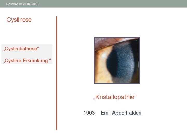 Rosenheim 21. 04. 2018 Cystinose „Cystindiathese“ „Cystine Erkrankung “ „Kristallopathie” 1903 Emil Abderhalden 