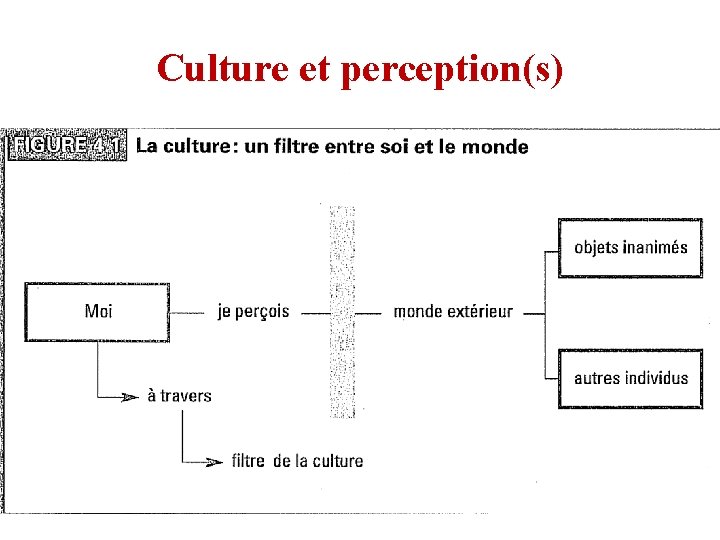 Culture et perception(s) Culture et perception(s)