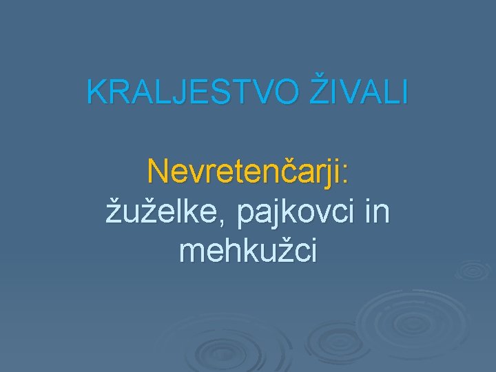 KRALJESTVO ŽIVALI Nevretenčarji: žuželke, pajkovci in mehkužci 