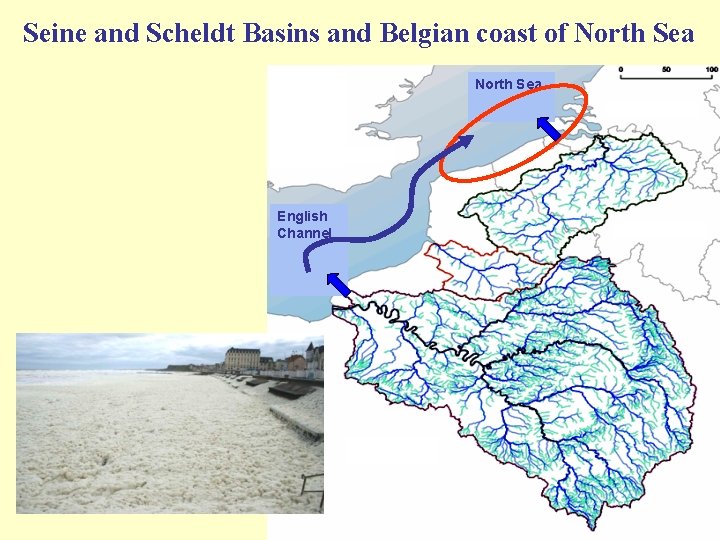 Seine and Scheldt Basins and Belgian coast of North Sea English Channel 