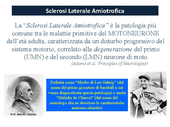 Sclerosi Laterale Amiotrofica La “Sclerosi Laterale Amiotrofica” Amiotrofica è la patologia più comune tra Sclerosi Laterale Amiotrofica La “Sclerosi Laterale Amiotrofica” Amiotrofica è la patologia più comune tra