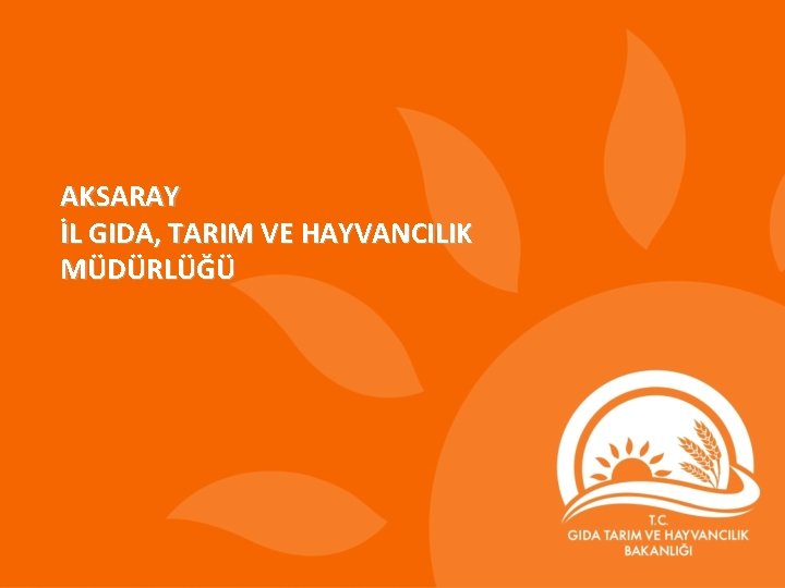 AKSARAY İL GIDA, TARIM VE HAYVANCILIK MÜDÜRLÜĞÜ AKSARAY İL GIDA, TARIM VE HAYVANCILIK MÜDÜRLÜĞÜ