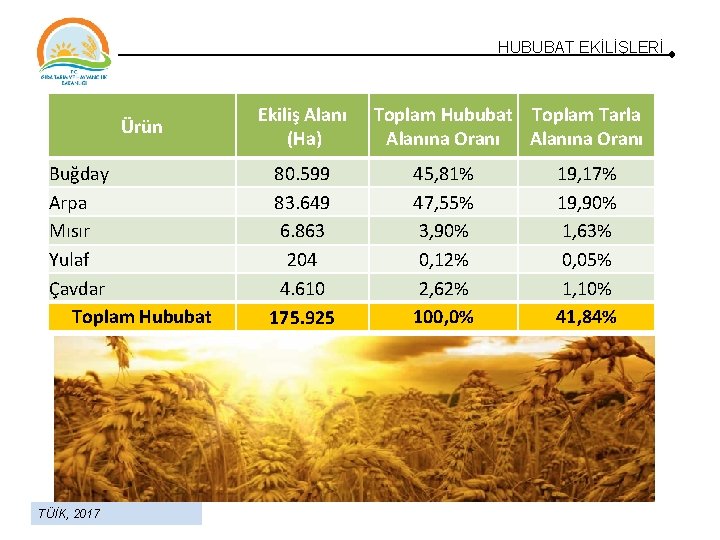 HUBUBAT EKİLİŞLERİ Ürün Buğday Arpa Mısır Yulaf Çavdar Toplam Hububat TÜİK, 2017 Ekiliş Alanı HUBUBAT EKİLİŞLERİ Ürün Buğday Arpa Mısır Yulaf Çavdar Toplam Hububat TÜİK, 2017 Ekiliş Alanı