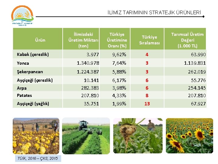 İLİMİZ TARIMININ STRATEJİK ÜRÜNLERİ Ürün İlimizdeki Üretim Miktarı (ton) Türkiye Üretimine Oranı (%) Türkiye İLİMİZ TARIMININ STRATEJİK ÜRÜNLERİ Ürün İlimizdeki Üretim Miktarı (ton) Türkiye Üretimine Oranı (%) Türkiye