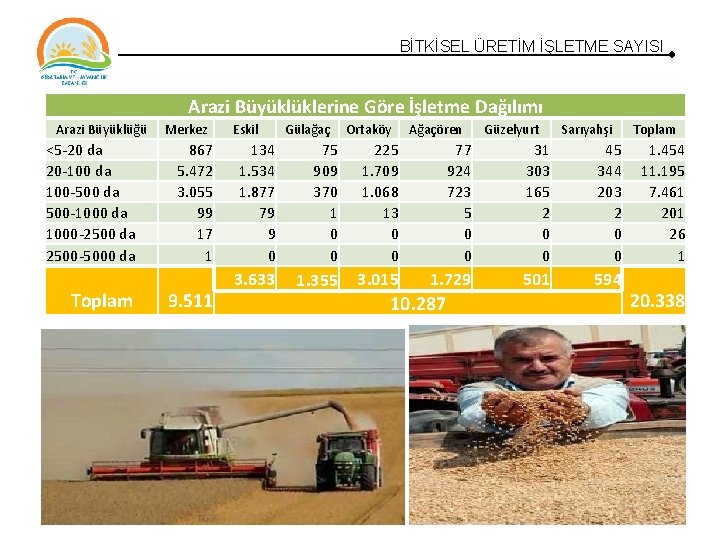BİTKİSEL ÜRETİM İŞLETME SAYISI Arazi Büyüklüklerine Göre İşletme Dağılımı Arazi Büyüklüğü <5 -20 da BİTKİSEL ÜRETİM İŞLETME SAYISI Arazi Büyüklüklerine Göre İşletme Dağılımı Arazi Büyüklüğü <5 -20 da