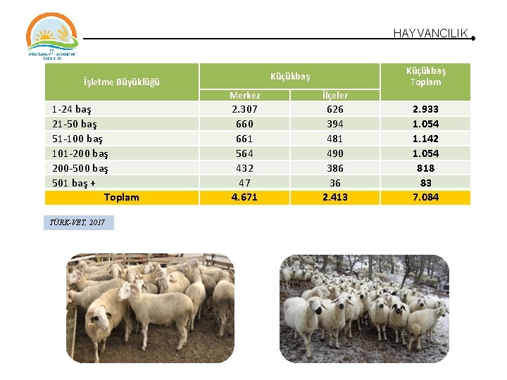 HAYVANCILIK İşletme Büyüklüğü 1 -24 baş 21 -50 baş 51 -100 baş 101 -200 HAYVANCILIK İşletme Büyüklüğü 1 -24 baş 21 -50 baş 51 -100 baş 101 -200