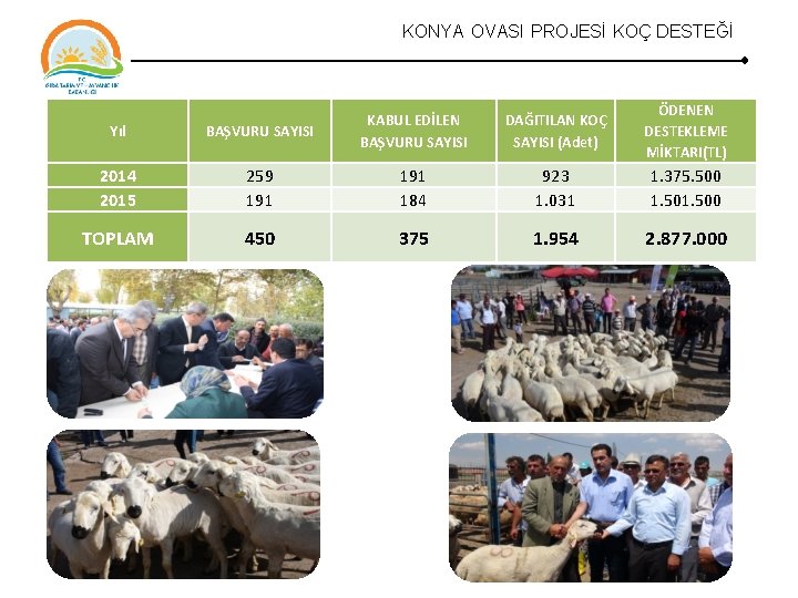 KONYA OVASI PROJESİ KOÇ DESTEĞİ DAĞITILAN KOÇ SAYISI (Adet) ÖDENEN DESTEKLEME MİKTARI(TL) Yıl BAŞVURU KONYA OVASI PROJESİ KOÇ DESTEĞİ DAĞITILAN KOÇ SAYISI (Adet) ÖDENEN DESTEKLEME MİKTARI(TL) Yıl BAŞVURU