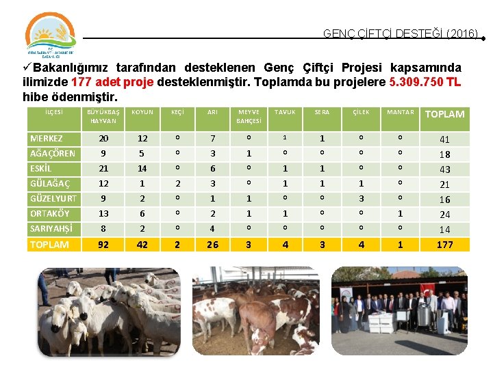GENÇ ÇİFTÇİ DESTEĞİ (2016) Bakanlığımız tarafından desteklenen Genç Çiftçi Projesi kapsamında ilimizde 177 adet GENÇ ÇİFTÇİ DESTEĞİ (2016) Bakanlığımız tarafından desteklenen Genç Çiftçi Projesi kapsamında ilimizde 177 adet