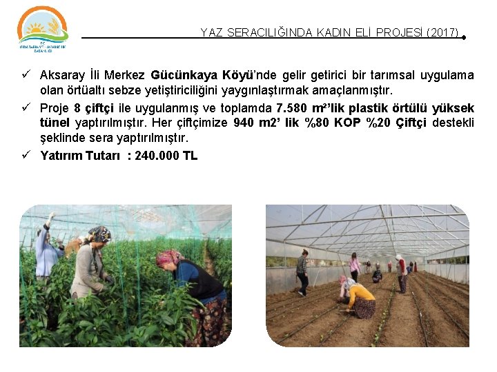 YAZ SERACILIĞINDA KADIN ELİ PROJESİ (2017) Aksaray İli Merkez Gücünkaya Köyü’nde gelir getirici bir YAZ SERACILIĞINDA KADIN ELİ PROJESİ (2017) Aksaray İli Merkez Gücünkaya Köyü’nde gelir getirici bir