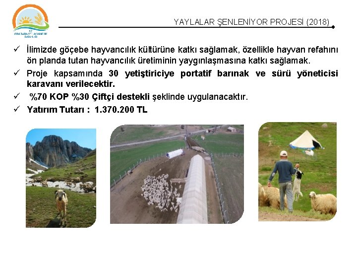 YAYLALAR ŞENLENİYOR PROJESİ (2018) İlimizde göçebe hayvancılık kültürüne katkı sağlamak, özellikle hayvan refahını ön YAYLALAR ŞENLENİYOR PROJESİ (2018) İlimizde göçebe hayvancılık kültürüne katkı sağlamak, özellikle hayvan refahını ön