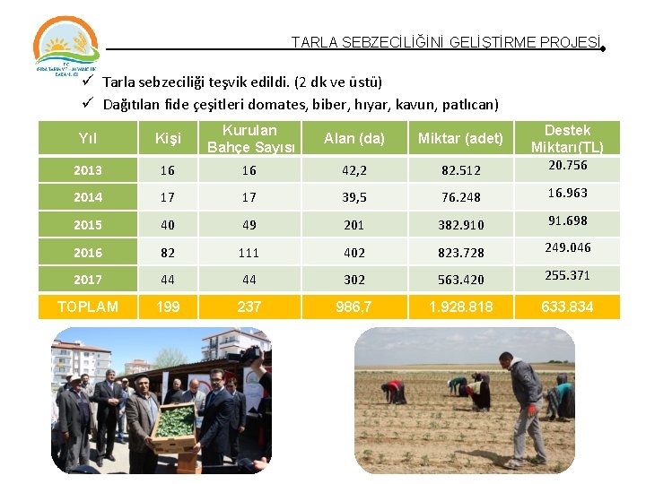 TARLA SEBZECİLİĞİNİ GELİŞTİRME PROJESİ Tarla sebzeciliği teşvik edildi. (2 dk ve üstü) Dağıtılan fide TARLA SEBZECİLİĞİNİ GELİŞTİRME PROJESİ Tarla sebzeciliği teşvik edildi. (2 dk ve üstü) Dağıtılan fide