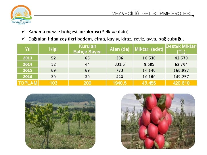 MEYVECİLİĞİ GELİŞTİRME PROJESİ Kapama meyve bahçesi kurulması (3 dk ve üstü) Dağıtılan fidan çeşitleri MEYVECİLİĞİ GELİŞTİRME PROJESİ Kapama meyve bahçesi kurulması (3 dk ve üstü) Dağıtılan fidan çeşitleri