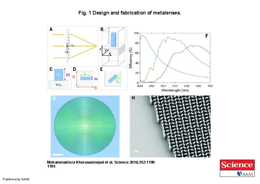 Fig. 1 Design and fabrication of metalenses. Mohammadreza Khorasaninejad et al. Science 2016; 352: