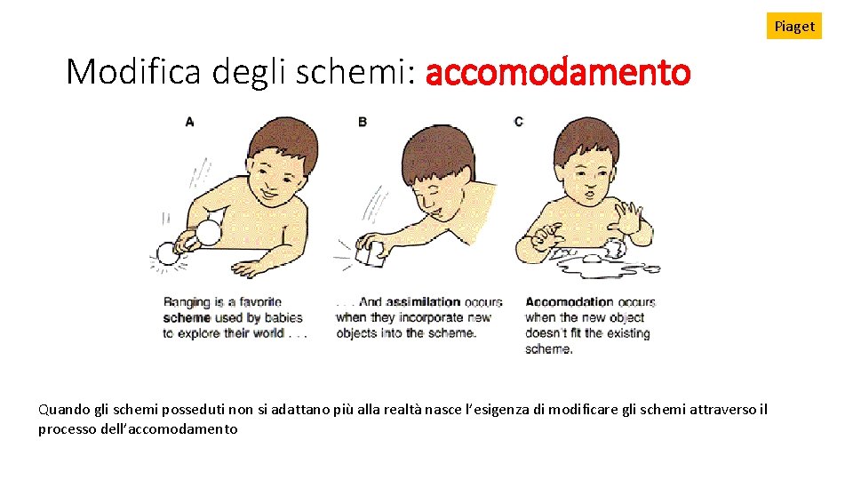 Piaget Modifica degli schemi: accomodamento Quando gli schemi posseduti non si adattano più alla