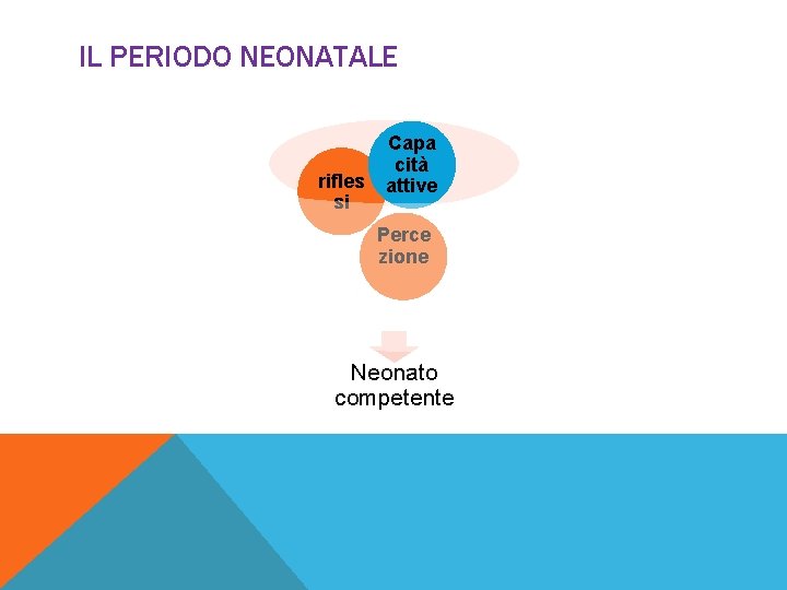IL PERIODO NEONATALE rifles si Capa cità attive Perce zione Neonato competente 