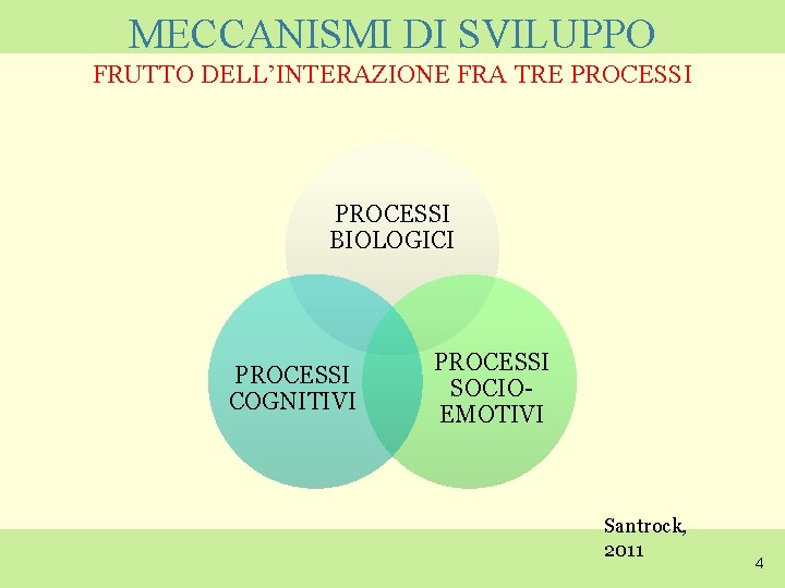 MECCANISMI DI SVILUPPO FRUTTO DELL’INTERAZIONE FRA TRE PROCESSI BIOLOGICI PROCESSI COGNITIVI PROCESSI SOCIOEMOTIVI Santrock,