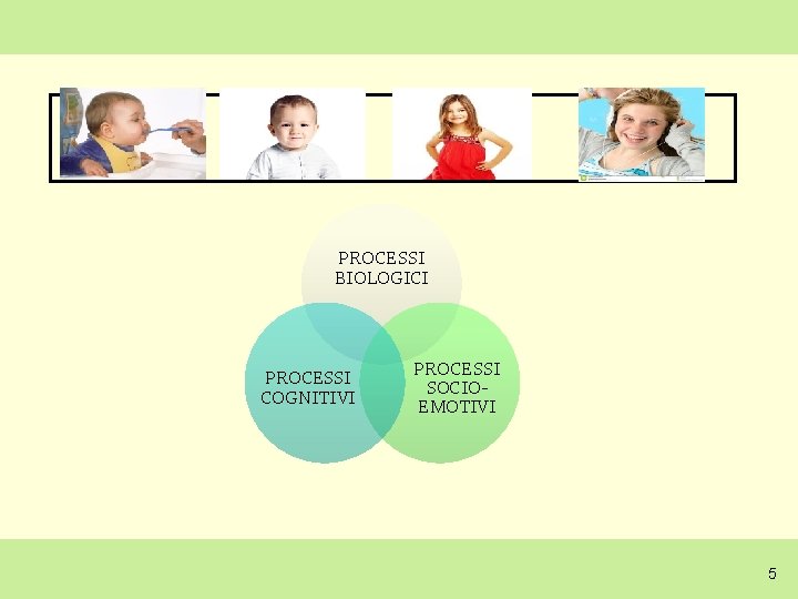 PROCESSI BIOLOGICI PROCESSI COGNITIVI PROCESSI SOCIOEMOTIVI 5 