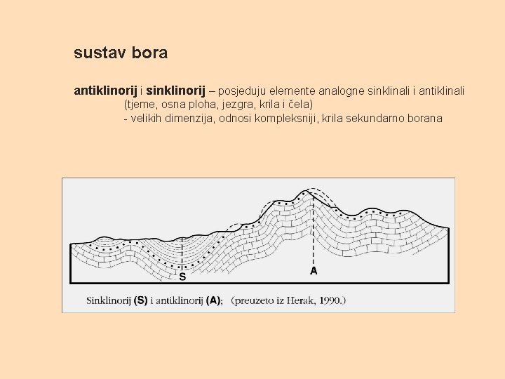 sustav bora antiklinorij i sinklinorij – posjeduju elemente analogne sinklinali i antiklinali (tjeme, osna