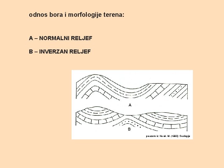 odnos bora i morfologije terena: A – NORMALNI RELJEF B – INVERZAN RELJEF preuzeto