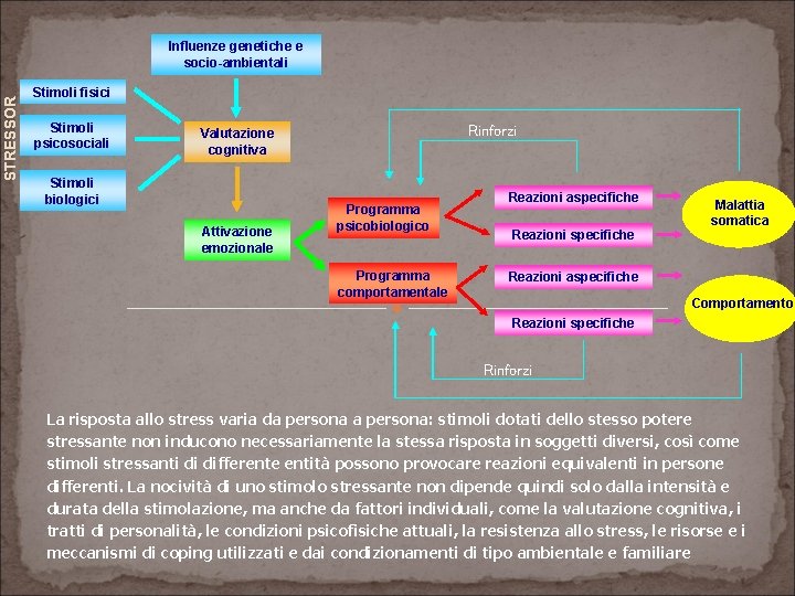 STRESSOR Influenze genetiche e socio-ambientali Stimoli fisici Stimoli psicosociali Rinforzi Valutazione cognitiva Stimoli biologici