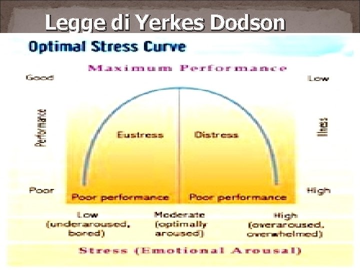 Legge di Yerkes Dodson 