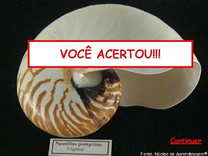 VOCÊ ACERTOU!!! Continuar 