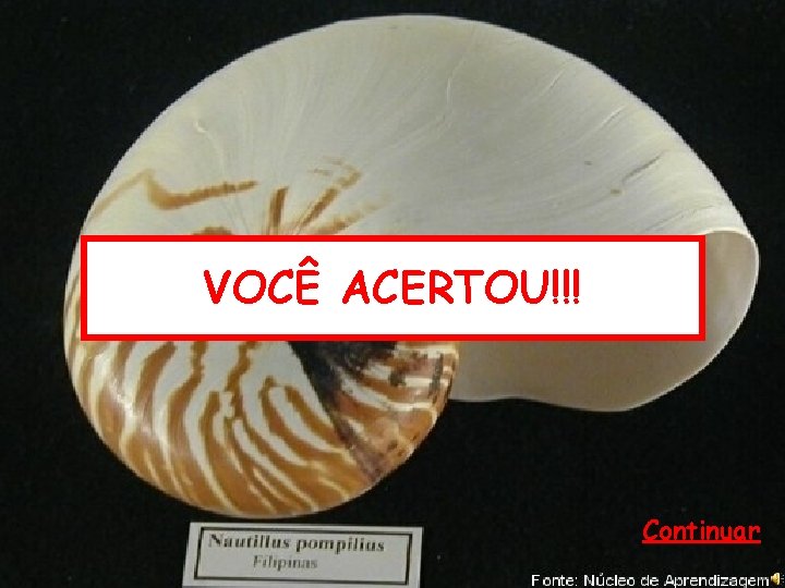 VOCÊ ACERTOU!!! Continuar 