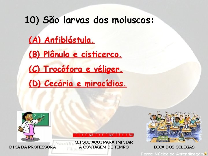 10) São larvas dos moluscos: (A) Anfiblástula. (B) Plânula e cisticerco. (C) Trocófora e