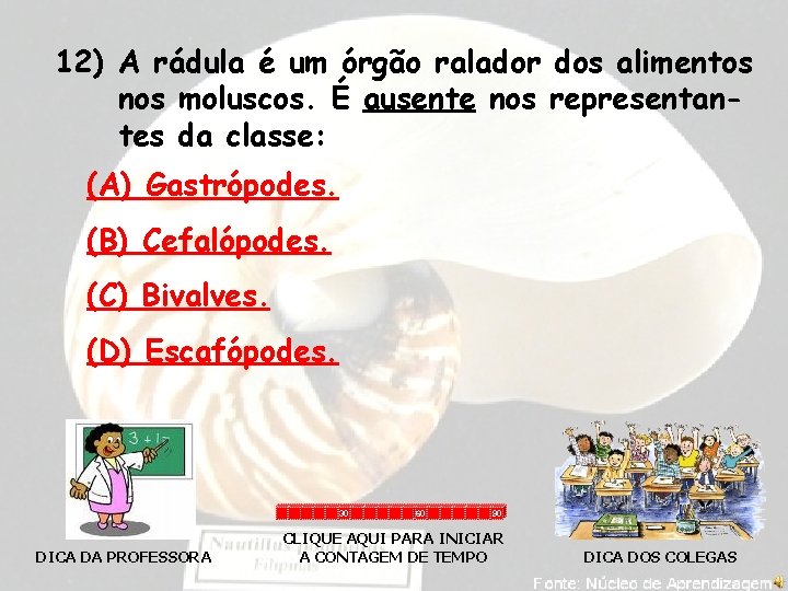 12) A rádula é um órgão ralador dos alimentos nos moluscos. É ausente nos