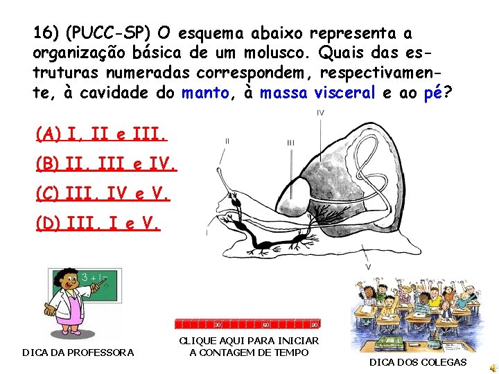 16) (PUCC-SP) O esquema abaixo representa a organização básica de um molusco. Quais das