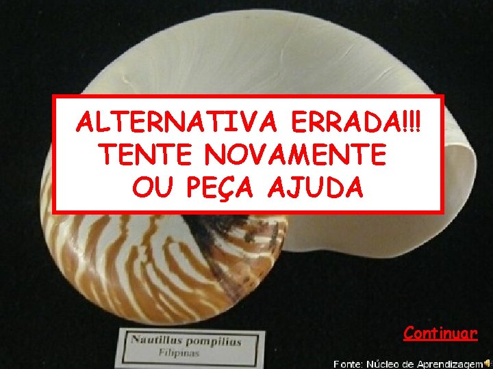 ALTERNATIVA ERRADA!!! TENTE NOVAMENTE OU PEÇA AJUDA Continuar 