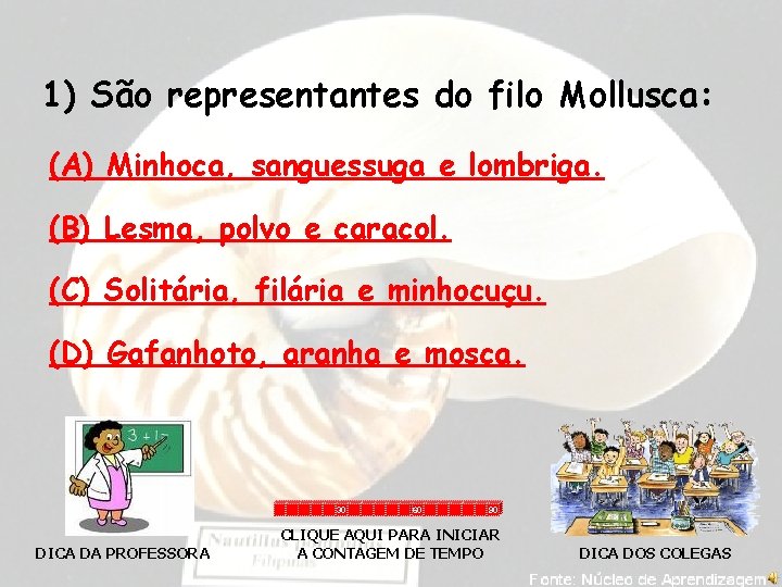 1) São representantes do filo Mollusca: (A) Minhoca, sanguessuga e lombriga. (B) Lesma, polvo