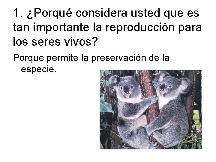 1. ¿Porqué considera usted que es tan importante la reproducción para los seres vivos?