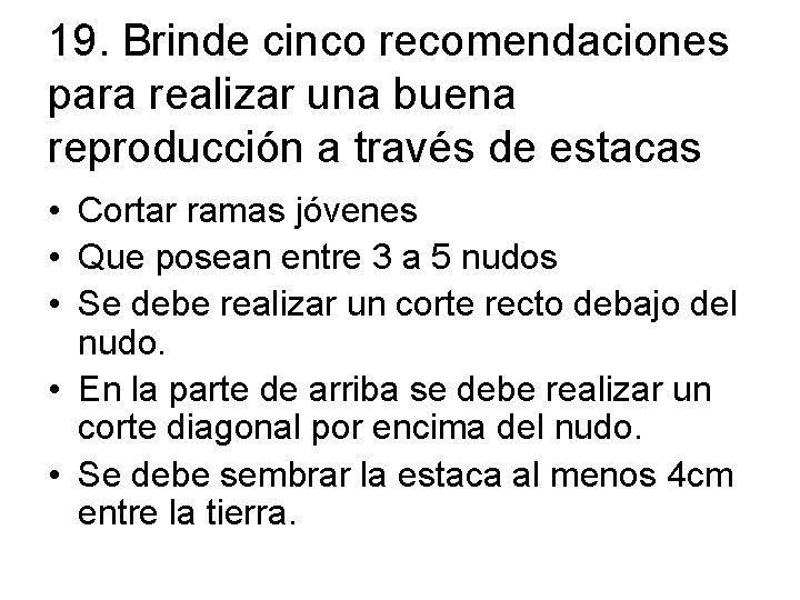 19. Brinde cinco recomendaciones para realizar una buena reproducción a través de estacas •