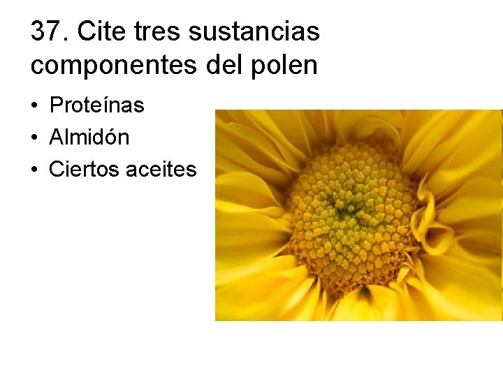 37. Cite tres sustancias componentes del polen • Proteínas • Almidón • Ciertos aceites