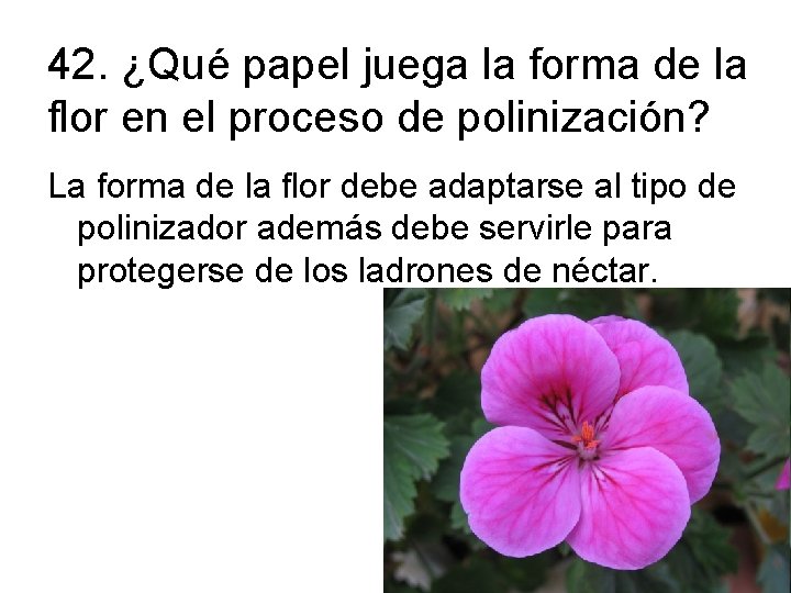 42. ¿Qué papel juega la forma de la flor en el proceso de polinización?