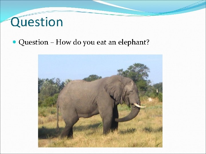 Question – How do you eat an elephant? 