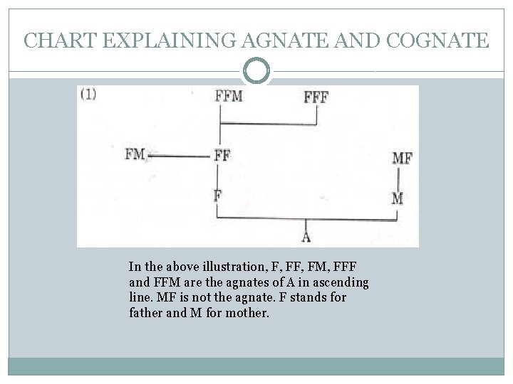CHART EXPLAINING AGNATE AND COGNATE In the above illustration, F, FM, FFF and FFM