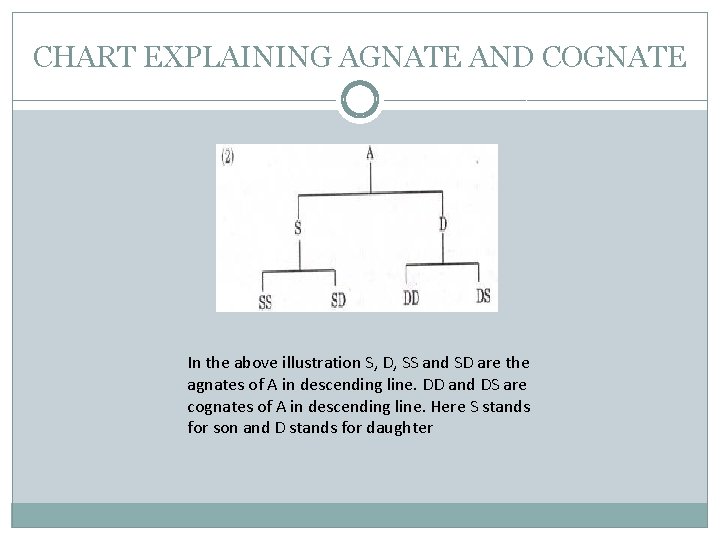 CHART EXPLAINING AGNATE AND COGNATE In the above illustration S, D, SS and SD